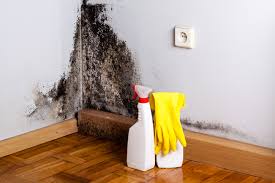 Best Mold Remediation for Healthcare Facilities  in Blue Springs, MO